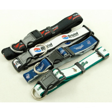 Fashion Blue Dog Leads and Collars colares